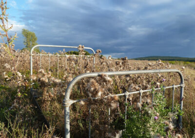 Ein Bett im Kornfeld